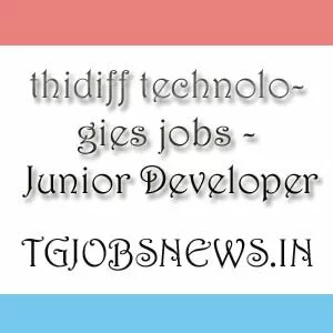 thidiff technologies jobs - Junior Developer